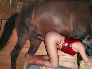 Animal porn videos and ZOO PORN