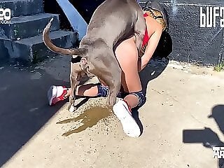 Zoophilia porn and animal sex