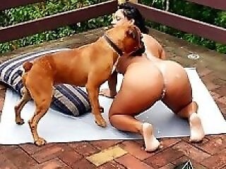 Animal porn and zoo sex