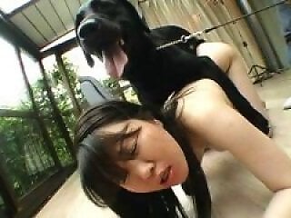 Zoo porn and zoo sex video