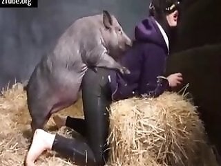 Animal porn and zoo sex
