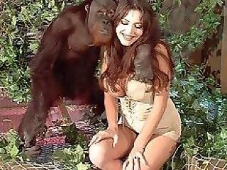 Zoo porn and zoo sex video