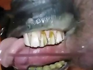 XXX Zoo Porn