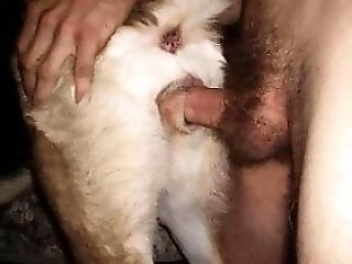 Zoo porno and bestiality