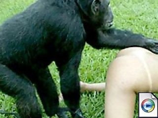 Zoo porno and bestiality