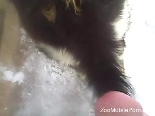 Hard sex with a furry animal for a needy gay man in heats