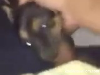 Exclusive home scenes with a man enjoying the dog for porn