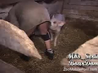 Pig fucks man in the ass and offers him a great orgasm