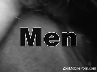 Man drives himself crazy with endless scenes of horse sex
