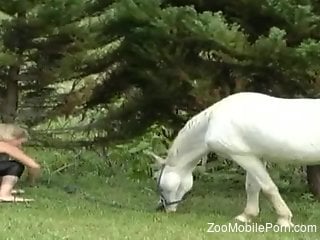 Big ass whore wants a piece of that huge cock in her tiny pussy
