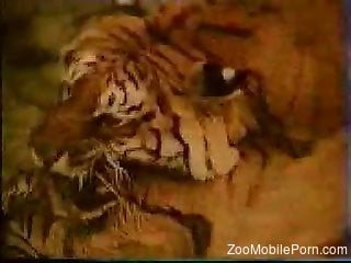 tigers fucking at the zoo makes the delight for this man