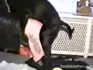 Black dog plowing a MILF's oozing pussy from behind