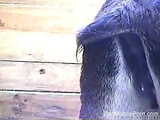 Dude with a pasty body fucking a submissive beast
