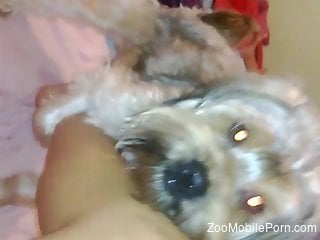 Small dog begging for a toejob in a free porn vid