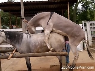 Imionate fucking session with two horned-up beasts