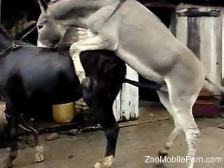Vicious sex with a bunch of horned-up beasts