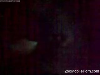 Zoophilic action featuring a really hot fucking hole