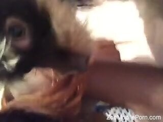 Sexy animal porn movie with lots of pussy eating