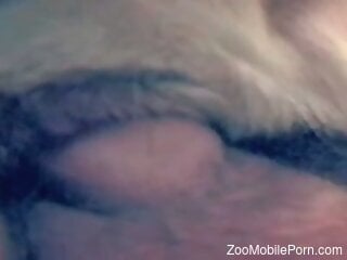 Dude fucking a badass animal with amazing close-ups
