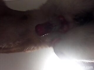 Dog's cock is hanging over the camera and looking hot AF