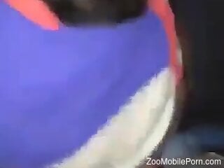 Amateur filmed giving blowjob to a dog in highly intense scenes